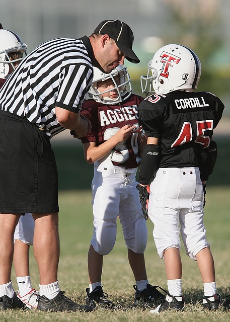 柏林联合 柏林联合