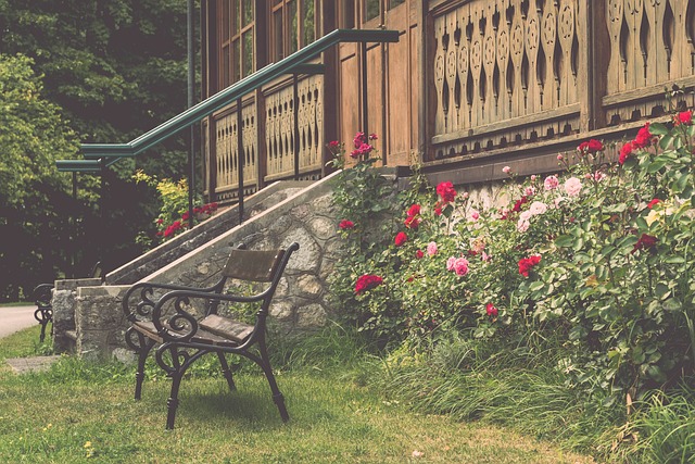 绿军杀入东 绿军杀入东