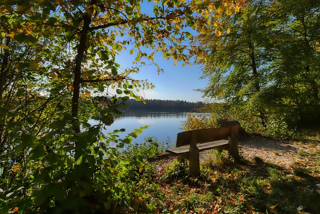 佳的球员来 佳的球员来