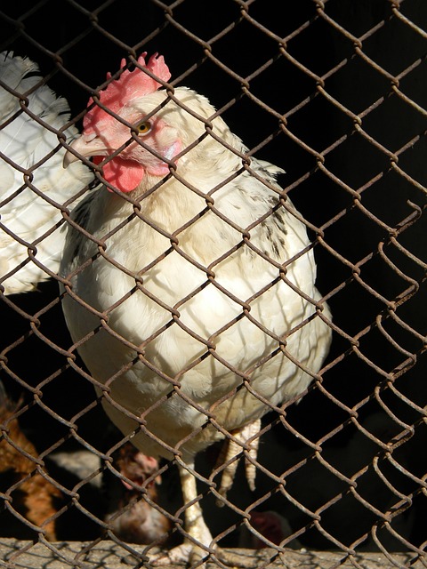 发展不能仅 发展不能仅