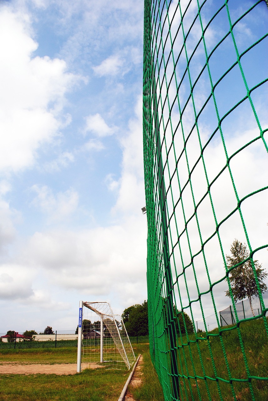 量的事项 量的事项