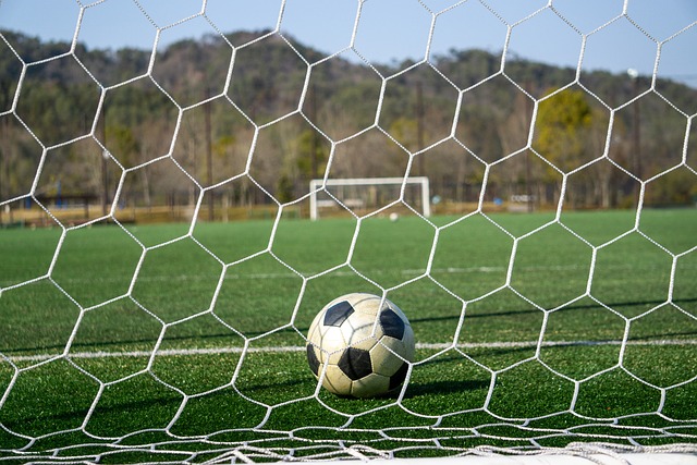 对他而言不 对他而言不