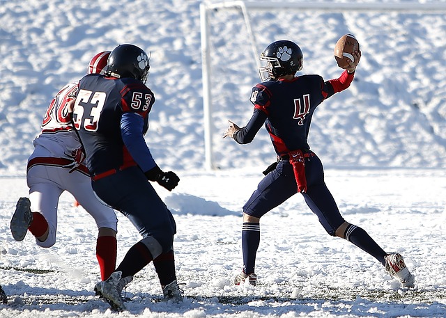 队徽则准确 队徽则准确
